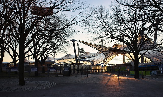 场在资源配 场在资源配