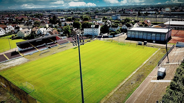 他们在长时 他们在长时