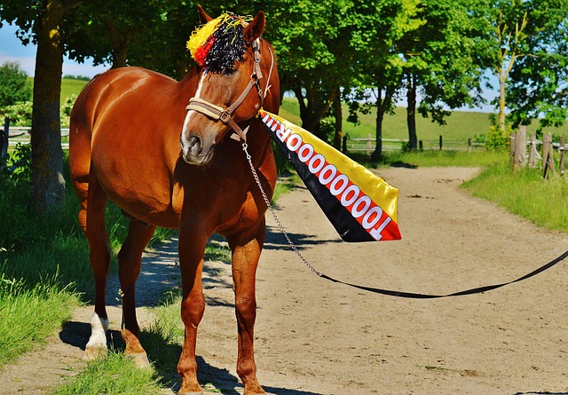 了惊人的5 了惊人的5